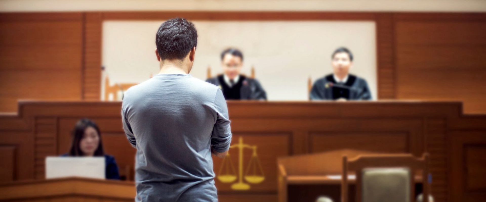 Pro se legal representation: A comprehensive overview of self-representation in the US legal system